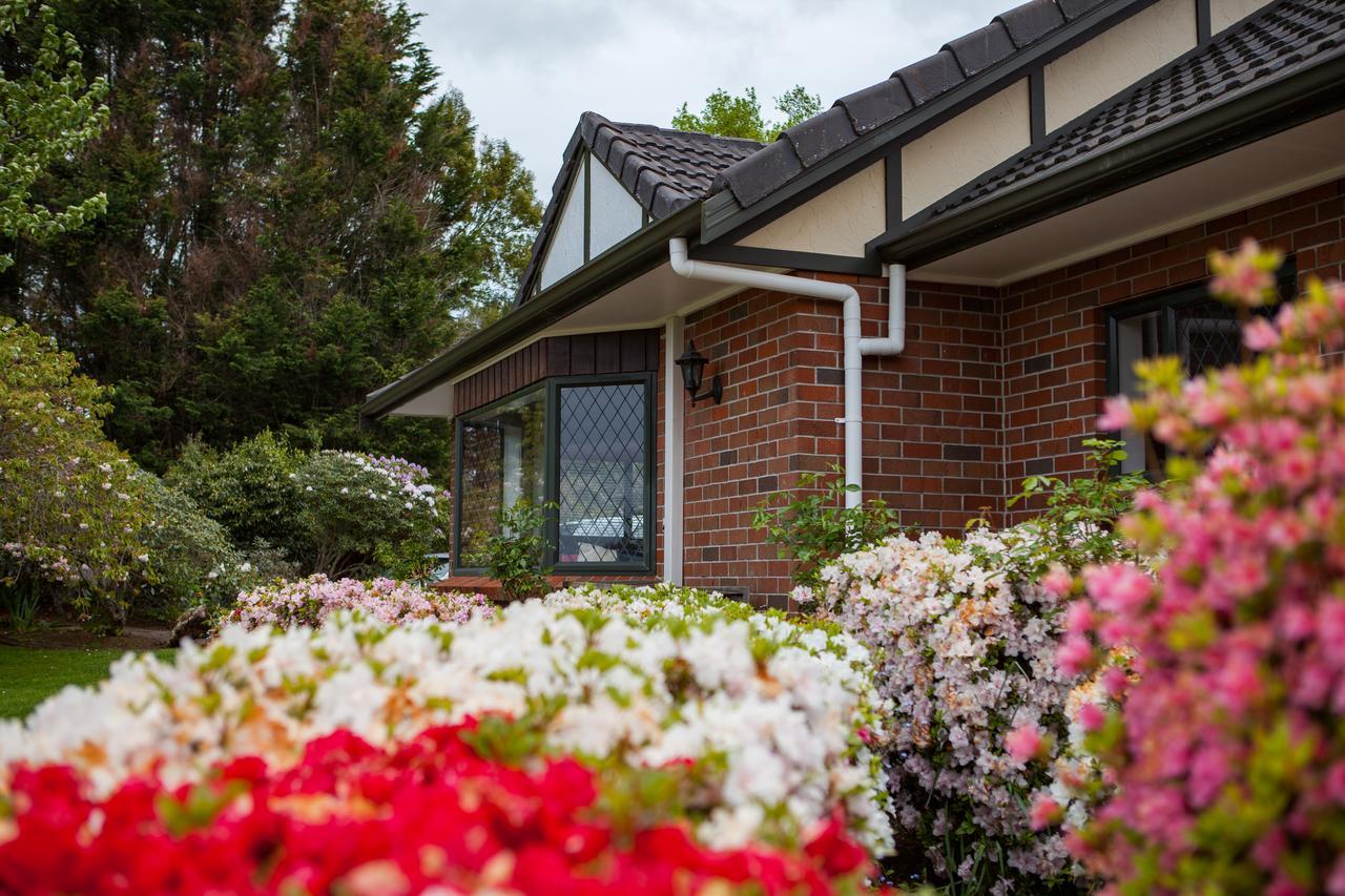 Clover Downs Homestead Rotorua Exterior photo